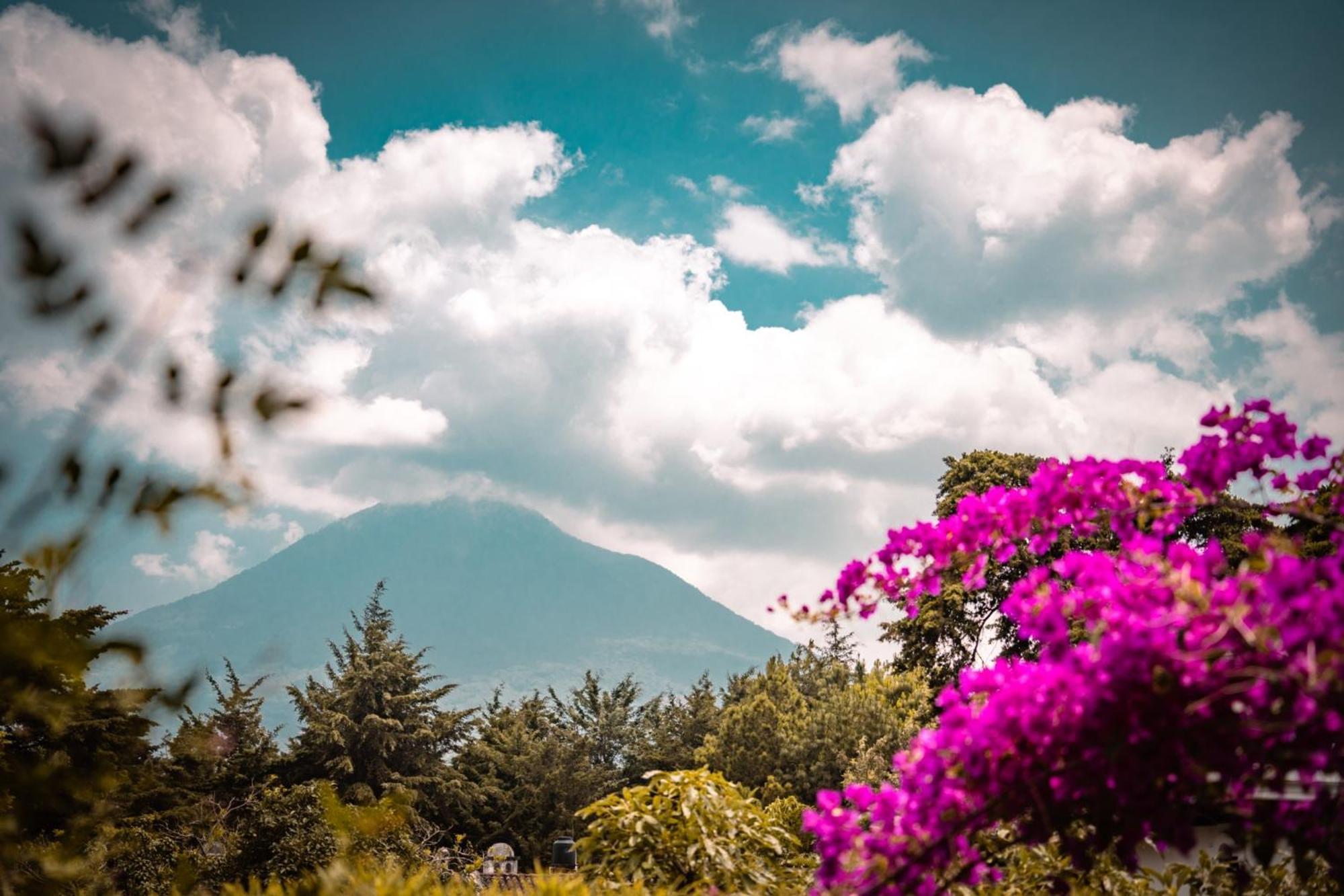 Baraka Antigua Villa Kültér fotó
