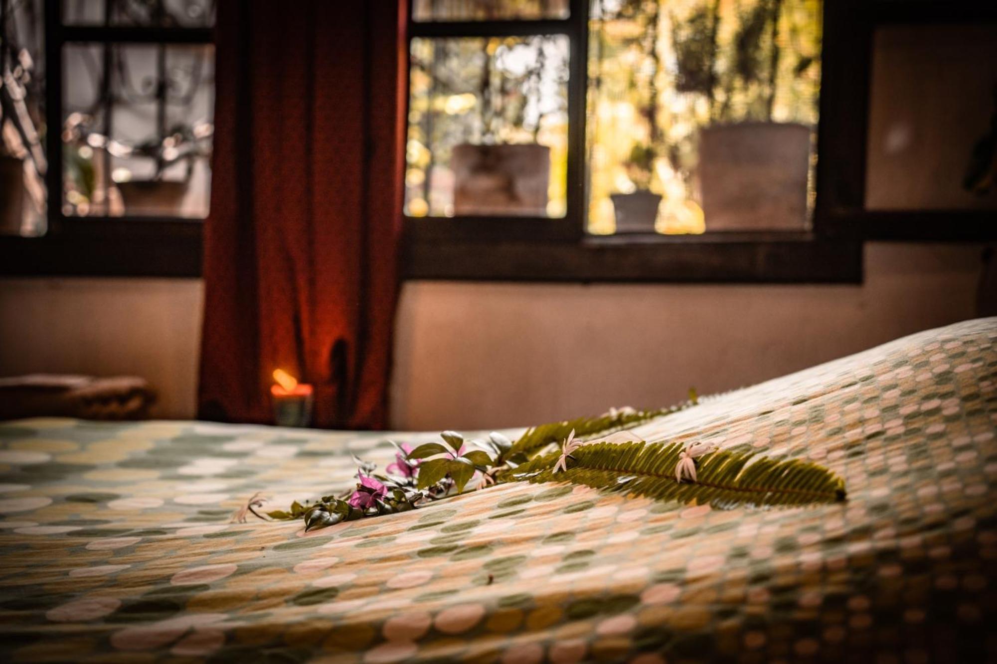 Baraka Antigua Villa Szoba fotó